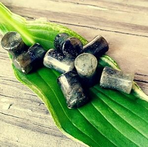 Labradorite Stone Plugs, sold in pairs